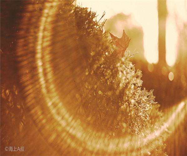 為什么大家喜歡在4月份裝修房子呢？